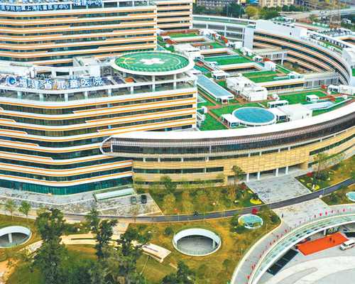 移植失败两次后是否要更改方案继续进行第三次？