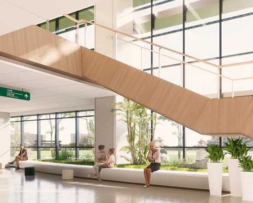 香港验血机构有官网吗_香港验血性别_血液查性别哪个组织最威望?