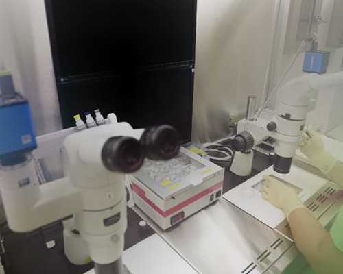 香港验血几天能出结果_怀孕6个月香港验血准吗_查胎儿性别要多少钱!