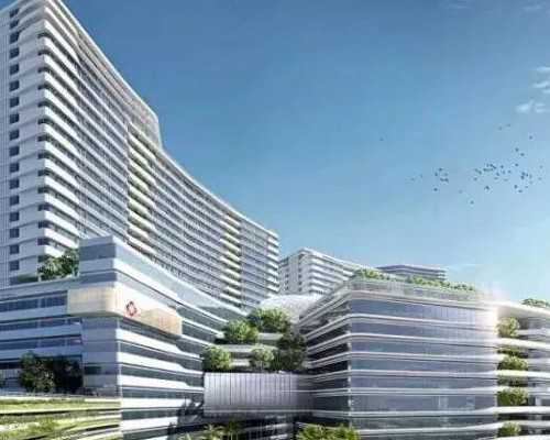 香港验血邮寄得多少钱_去香港怎么查宝宝性别怎么预约_哪个验血机构最准!