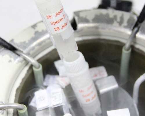 香港验血没有结果复检_吃了紧急避孕药香港验血_只要2600被骗了!