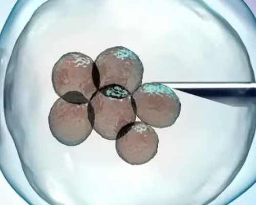 香港验血怀孕3周可以吗_香港验血男女是在医院查吗邮寄_性别鉴定需要注意什么