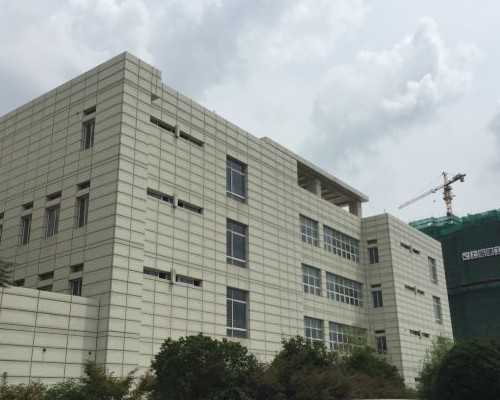 香港孕妇验血报告_y染色体呈阴性会翻盘吗_千万别错过的最全性别鉴定攻略!