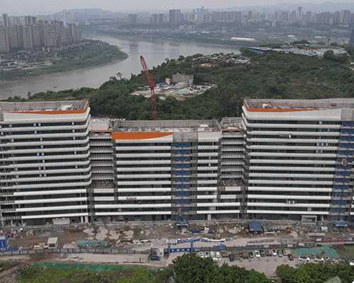 香港验血结果几天_一片关于竹子的作文竹子的作文