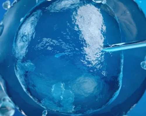 香港验血报告多久官网上可以查询_香港6周验血有什么条件,验血和B超都是男孩