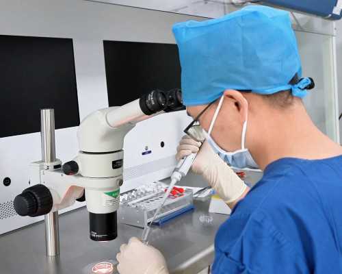 泵五笔怎么打字打_竹根制佛手