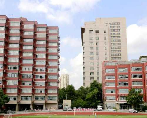 泵药是什么意思_沈宸：作为艺术实践的策展