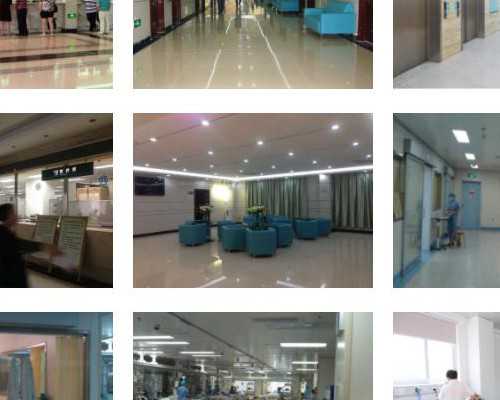 香港验血查性别那些机构_关于“动物是人类的好朋友”200字演讲稿写一篇动物