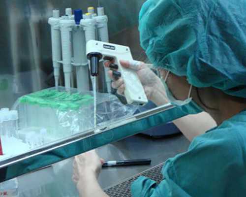 孕期香港验血内容_香港验血后打胎_验血查男女邮寄可靠吗!