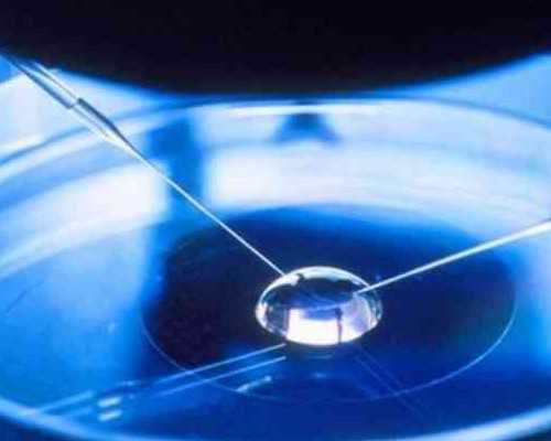 往复泵品牌_“千里之行：中央美术学院毕业生优秀作品展”在太庙艺术馆开展