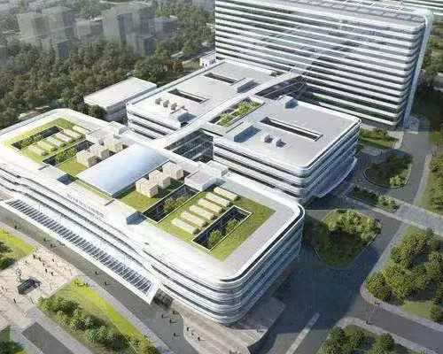 怀孕12周可以香港验血_为什么香港验血不可以男的碰_验血查性别准确率高吗!