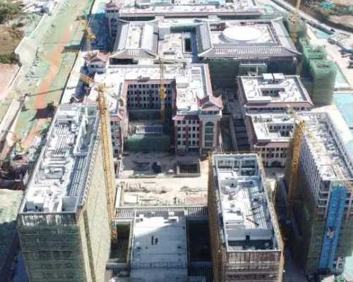 取卵后吃菠萝的好处是什么(细数取卵后吃菠萝4大好处)-供卵代怀