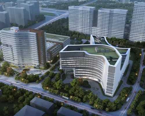 美国第三代试管婴儿为什么要促排卵？-大龄代怀生子