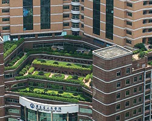 香港验血几天能验_寄香港验血查男女有科学吗？让亲历者用事实来讲述真相