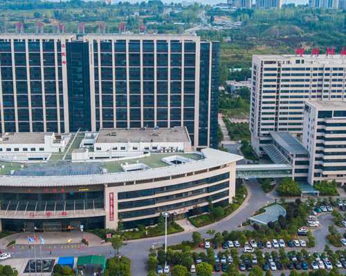 香港验血怎么联系医院能不去本人吗_香港验血测量胎儿性别准不准_知名的验血