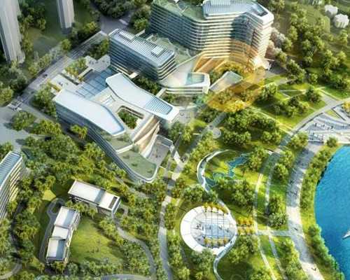 香港验血 PG中心_来香港查性别流程_是不是真的靠谱!