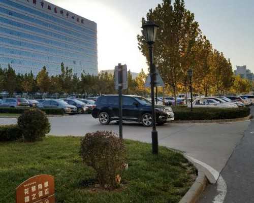 香港验血血放时间长有用吗_香港基因检测,验血要怀孕多少周才可以去