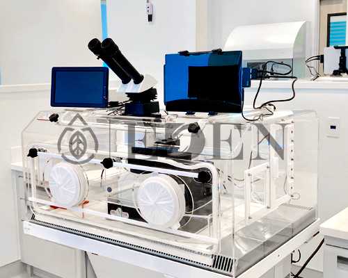 2026年香港验血要多少钱_网上查验血报告香港_早期验血测男女可不可靠