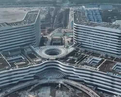 香港验血辨男女准吗_二胎要不要去香港验血_性别鉴定到底哪家是真的