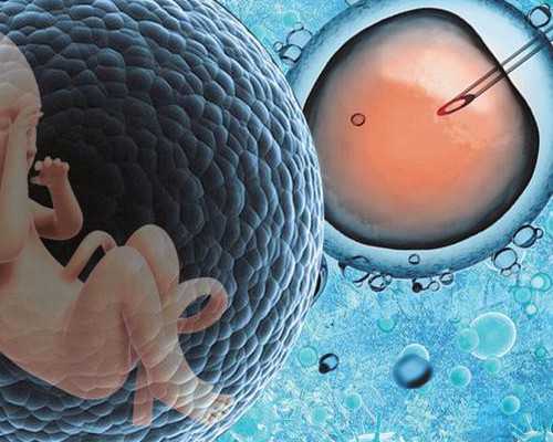 香港验血测胎儿性别的原理_香港DNA鉴定可以选择邮寄吗?准确率又是多少?