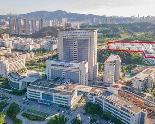 香港几天可以验血测怀孕_怀孕一个月香港验血查男女价格？网友一致认为这家