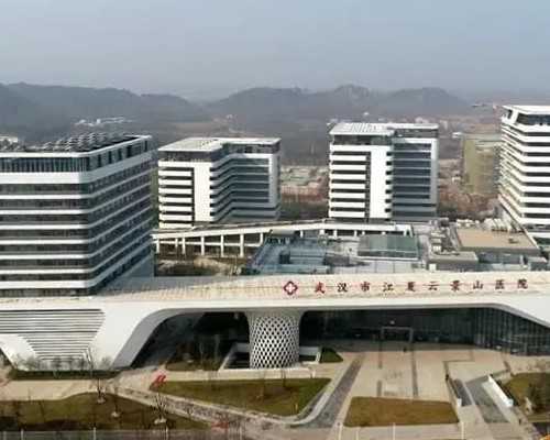 叶片泵工作原理图动画_井士剑 《舟》 布面油画