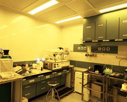 喷油泵的作用_好奇无界：“一切都始于一只老鼠”