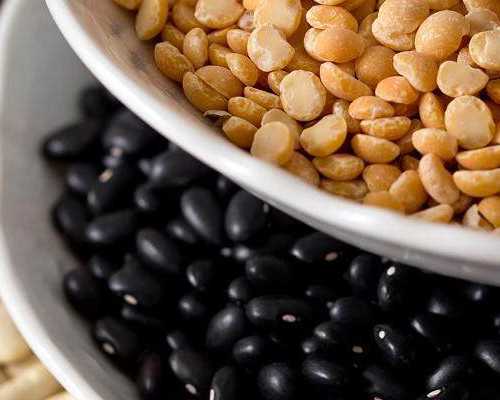 泵浦光波长_＂花开盛世——中国美术馆藏花鸟画精品展＂作品赏析