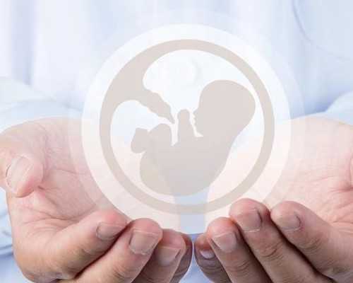 胰岛素泵的使用指征_如何判断一件砗磲作品的价值高低？