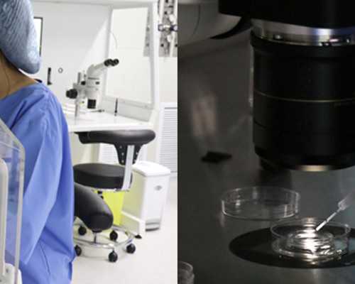 为什么抽血给中介去香港验血结果要5天_香港验血嘉宾大厦诊所_验血查男女真相