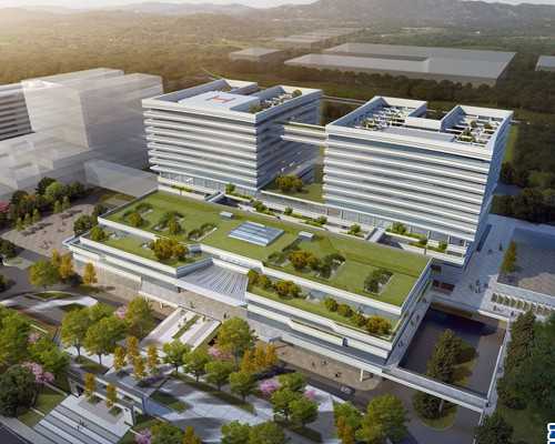 香港验血机构有多少家_香港验血说是男孩以后做b超复查还需要花钱吗_需要准备