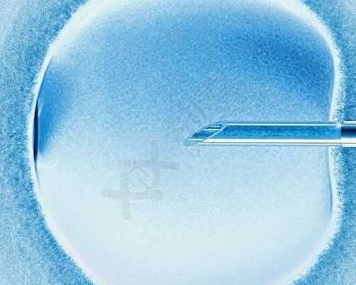 香港验血微信中介_香港验血测性别机构准不准_千万别错过的最全性别鉴定攻略