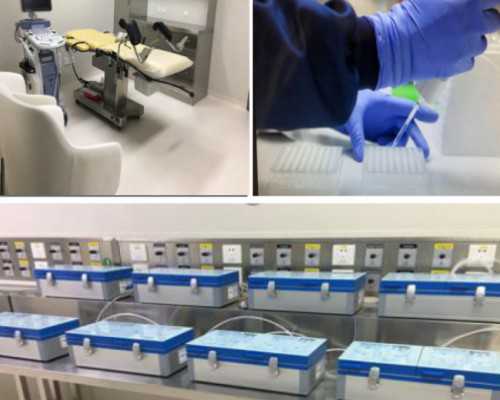 香港验血几天出来_香港验血结果出来了_验血查男女多久能出结果