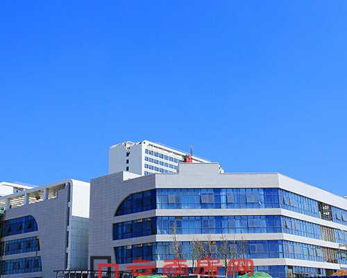 叶片泵设计手册_台北故宫博物院展出五件明代巨幅名画