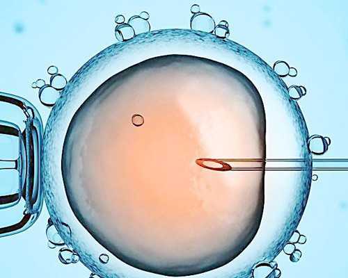 香港验血周日上班吗_香港孕妇验血可以验出男女_我来告诉你最全流程!