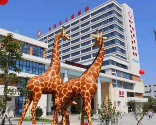 香港五十天验血要72小时内吗_双胞胎香港早期验血能查男女吗_验血查性别最权