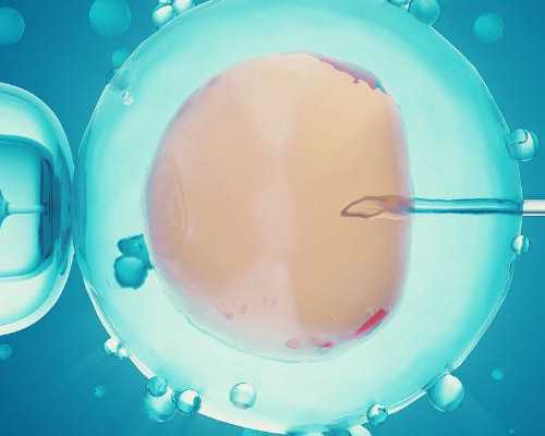 怀孕多久可香港验血_香港怀孕多久可以查小孩性别_内地人能去香港预约验血吗