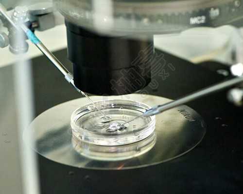 香港迪安亚孕妇验血_10周还可以去香港验血吗,验血女孩竟然翻盘