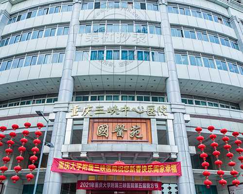 质子泵的类型_“孤独中的陪伴”大都会博物馆中国书画大展 开幕