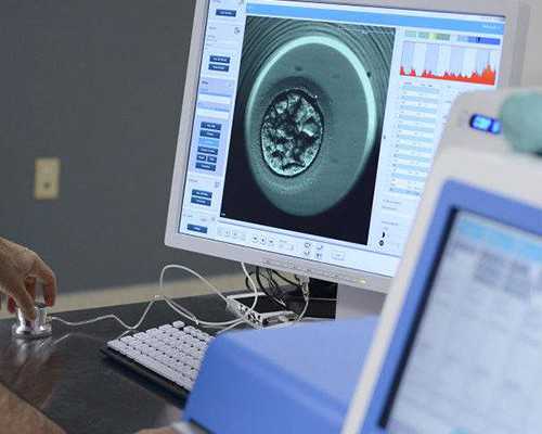 香港验血邮寄5天血还能用吗_香港做dna性别检测流程怎样?亲身经验给大家