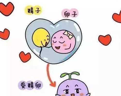 早孕胎芽8毫米香港验血_从雅安到熊猫基地有多远，怎么走？四川大熊猫基地在