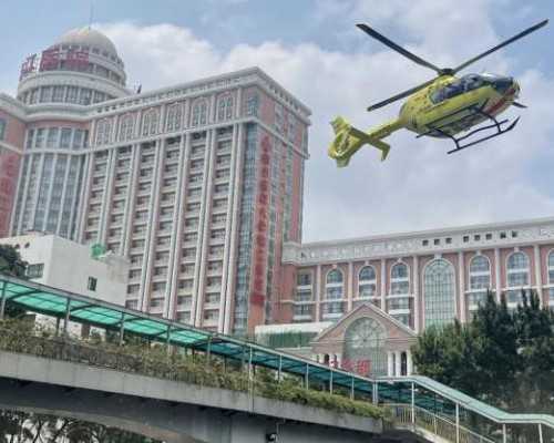 香港验血女结果怎么看,有香港验血报告单准不准,查男女的真相在这里