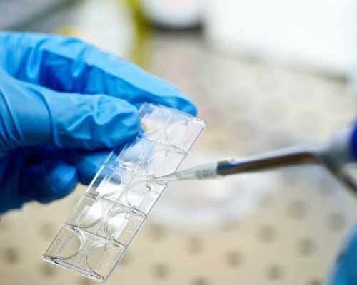 怀孕一个月到香港验血,香港可以验血男女吗_验血查男女哪机构个最准