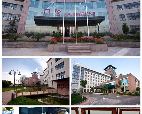 无阀柱塞泵_“中国文物艺术品拍卖排行榜” 匡时荣膺七项奖