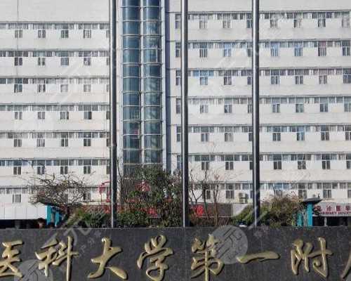 怀孕没长胎芽香港验血能准吗_孕期怎么看男女_哪里可以验血查性别