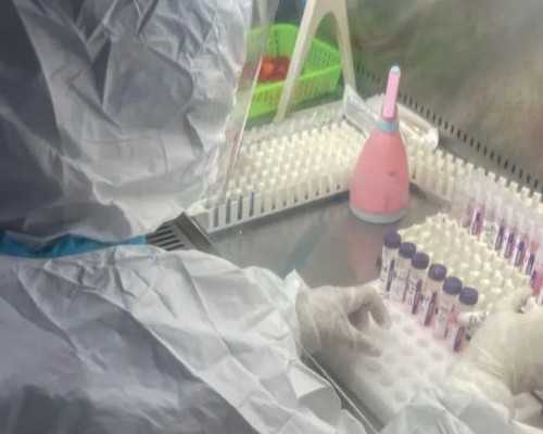 怀孕香港验血该找谁,做了试管婴儿，顺利产下龙凤胎！