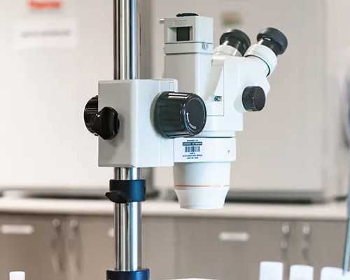 孕8周能香港验血,怀孕2个月到香港验血是男孩准吗,总结下香港鉴定性别攻略