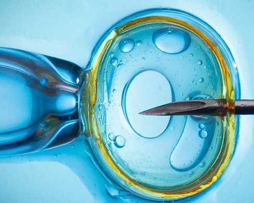 香港验血邮寄的准吗_关于理想的10句名人名言理想的名人名言古代