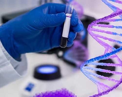 香港验血机构有多少家,流产5个月怀孕香港验血准吗_抽血查性别是真还是假!