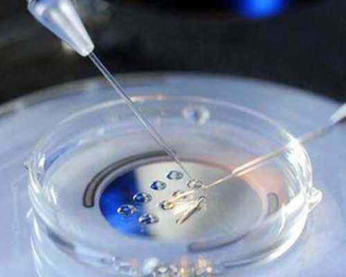 香港验血查男女需要多少费用_香港验血测胎儿性别准不？要契合什么条件？让